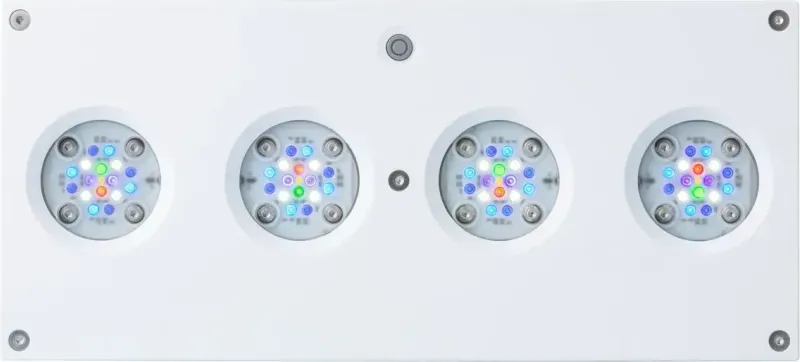 Eine Hydra 64HD von unten, ein weisses rechteckiges Gehäuse mit vier runden LED-Feldern aus blauen, weissen, violetten, grünen und roten Dioden.