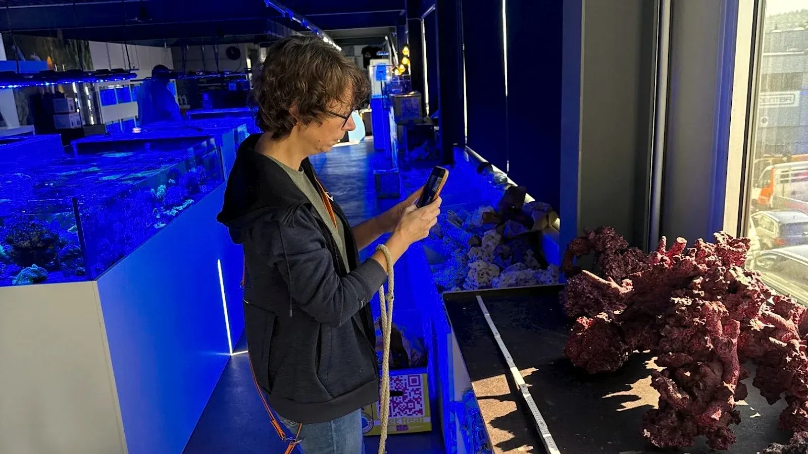 Bei Crazy Corals in Wiedlisbach fotografiert meine Frau mit dem Handy das Gestein auf dem Tisch am Fenster. Rechts liegen grosse Stücke Real Reef Rock in der Sonne, links stehen die Verkaufsbecken unter blauem Licht.