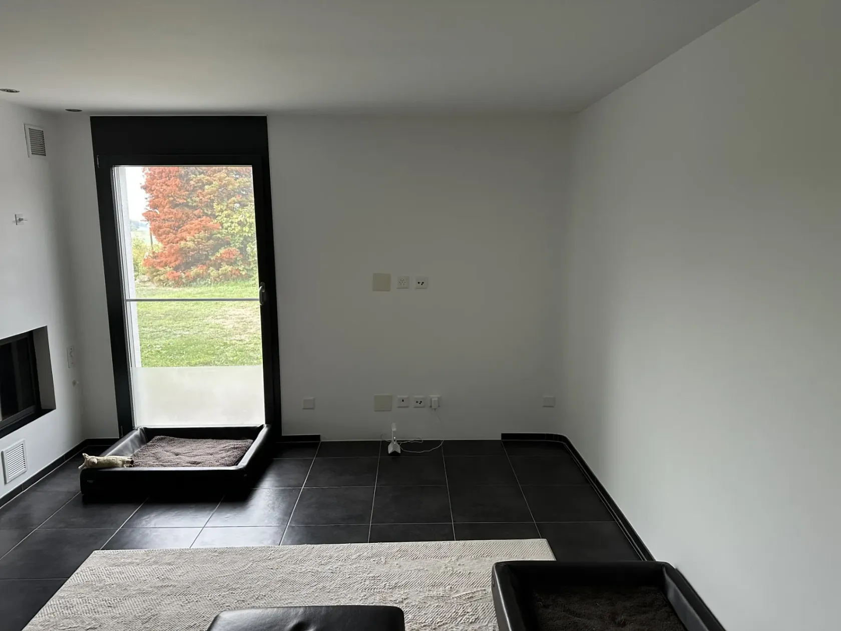 Am Fixpunkt hat sich diese Woche nichts verändert, was mit dem Becken zu tun hätte. Die Wand ist weiter leer, davor nur die Fliesen und die beiden Hundebetten. Einzig das kleine weisse Gerät steht wieder vor der Steckdose.
