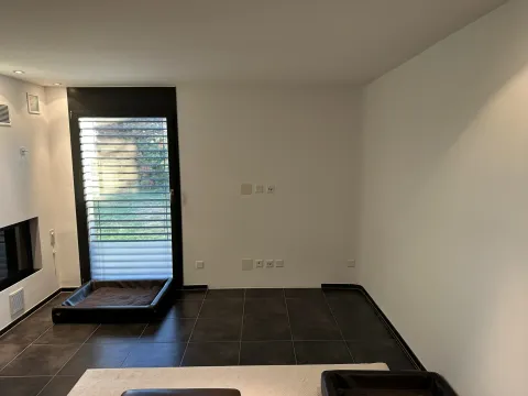 Die Wand rechts der Terrassentür ist freigeräumt: Holzskulptur, Pflanze, Lautsprecher und Sofa sind weg. Ausser dem Hundebett steht nichts mehr davor.